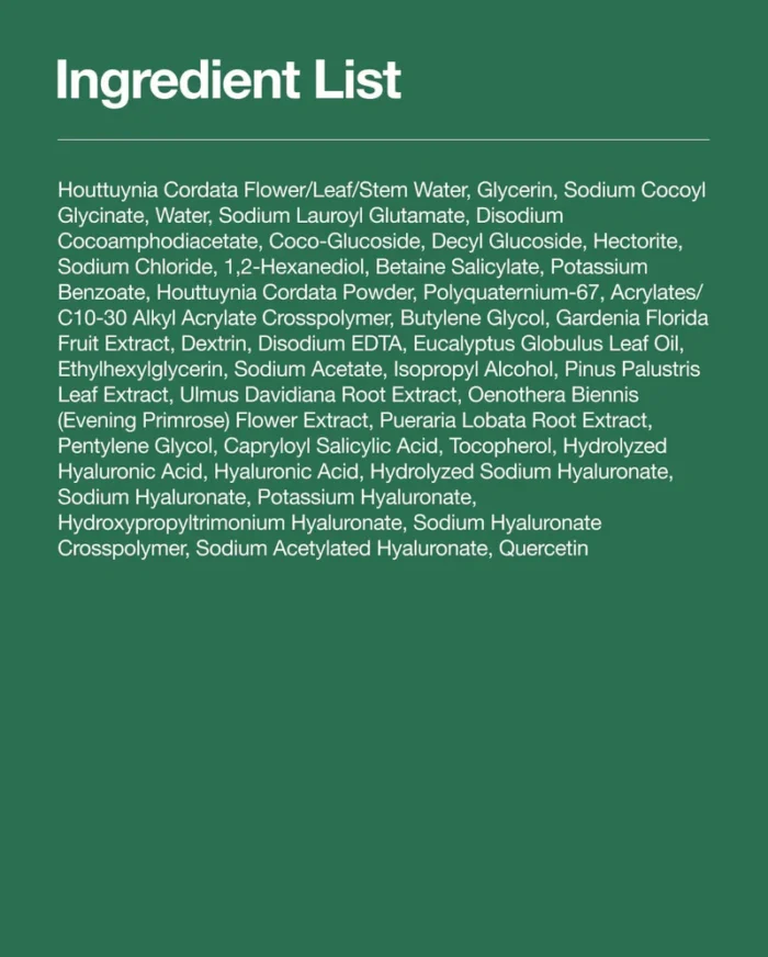 Anua Heartleaf Quercetinol Pore Deep Cleansing Foam 150ml Anua Heartleaf Quercetinol Pore Deep Cleansing Foam 150ml